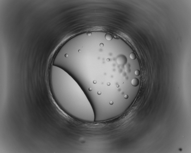X0000086950851200704161055