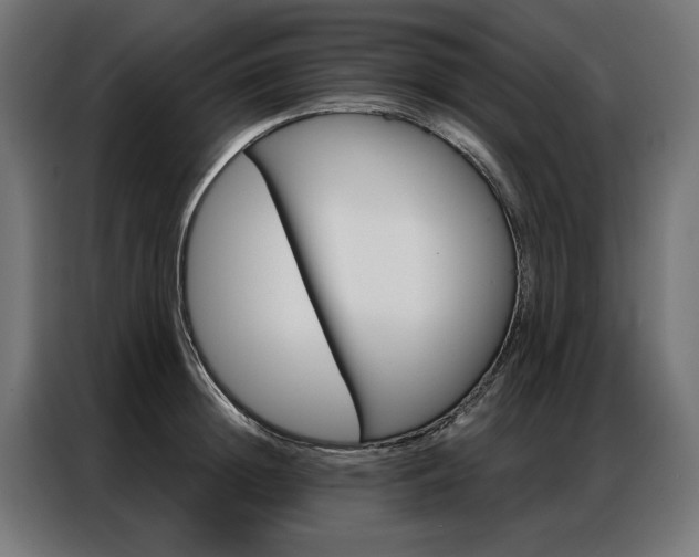 X0000086950852200704161055