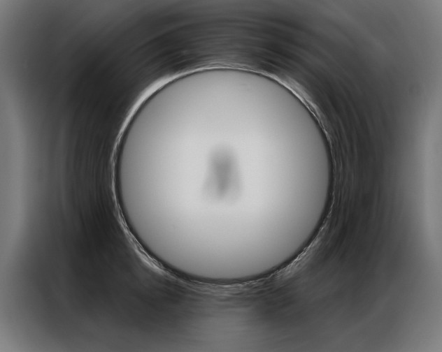 X0000086950854200704161055