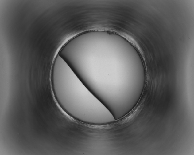 X0000086950855200704161055