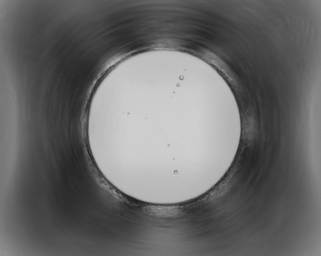X0000086950856200704161055