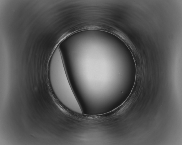 X0000086950858200704161055