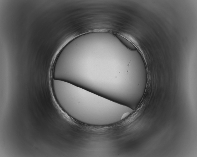 X0000086950859200704161055