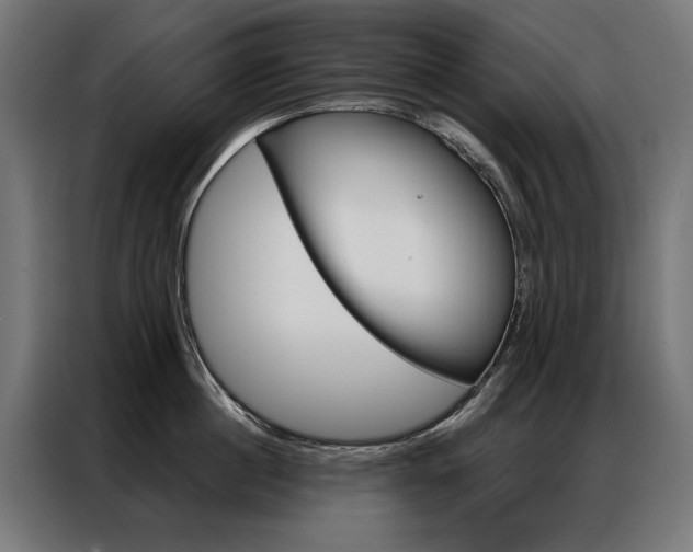 X0000086950860200704161055