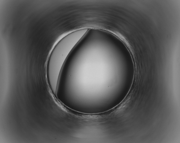 X0000086950862200704161056