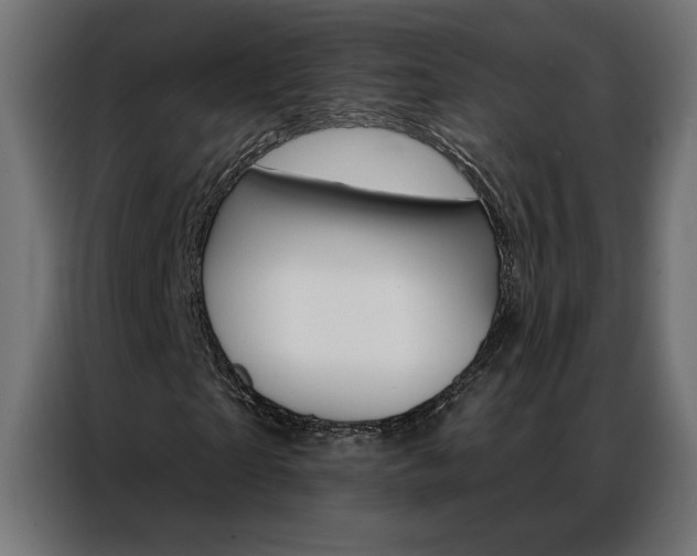 X0000086950865200704161055