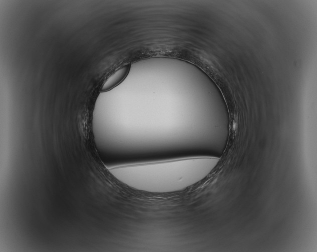 X0000086950867200704161055