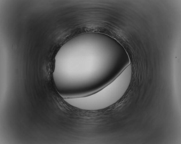X0000086950868200704161055