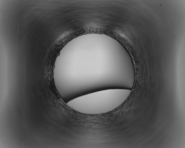 X0000086950870200704161055