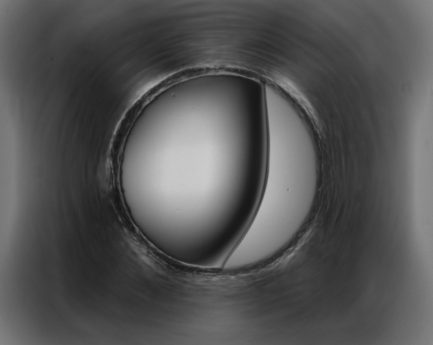 X0000086950876200704161055