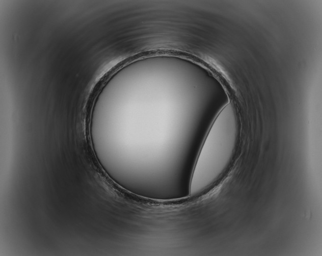 X0000086950877200704161055