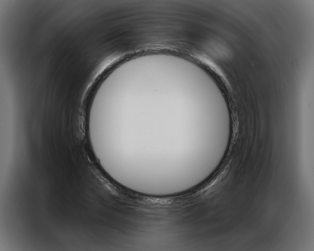 X0000086950878200704161055