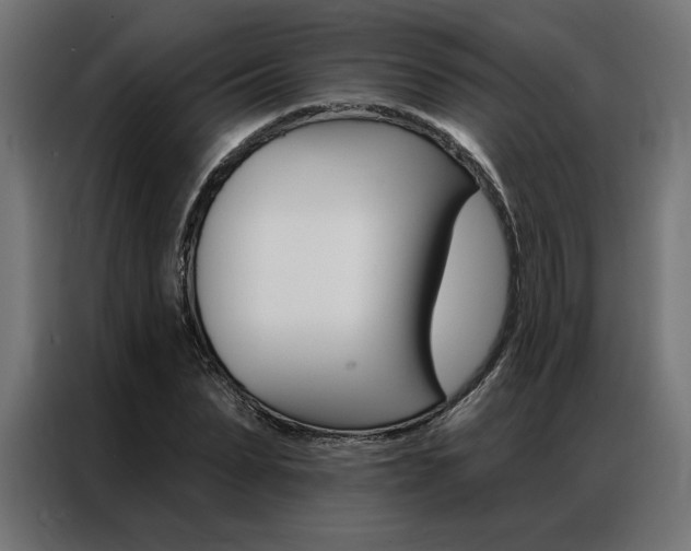 X0000086950879200704161055