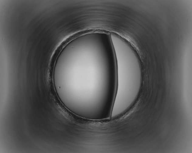 X0000086950880200704161055