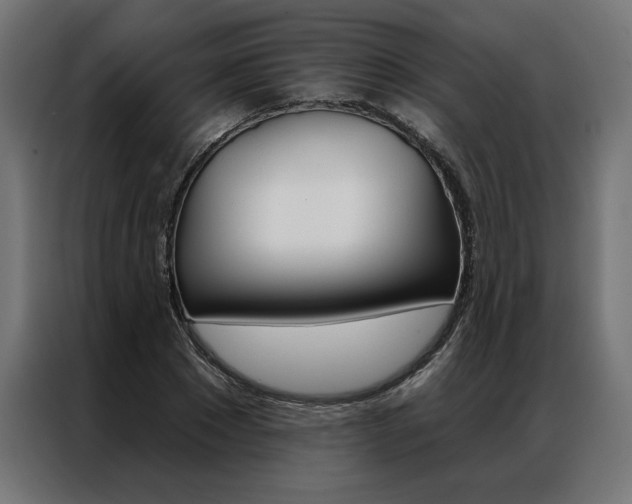 X0000086950881200704161055