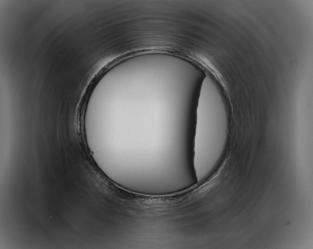 X0000086950883200704161055