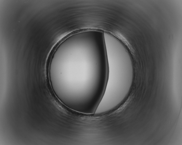 X0000086950884200704161055