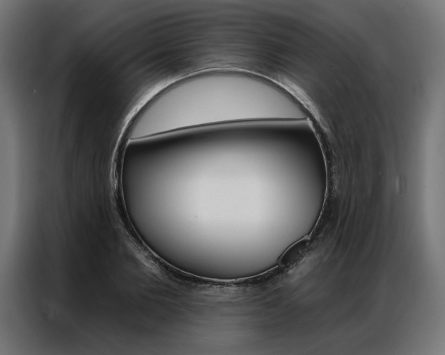 X0000086950885200704161055