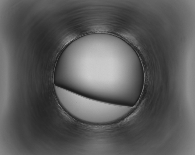 X0000086950889200704161055
