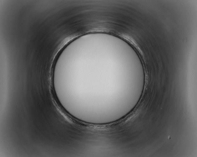 X0000086950890200704161055