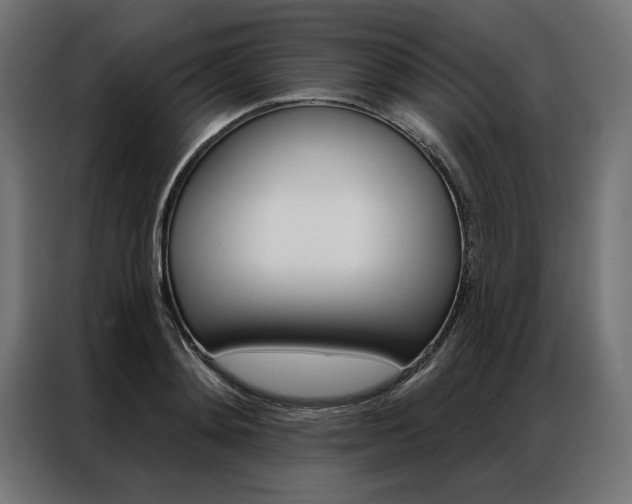 X0000086950892200704161054