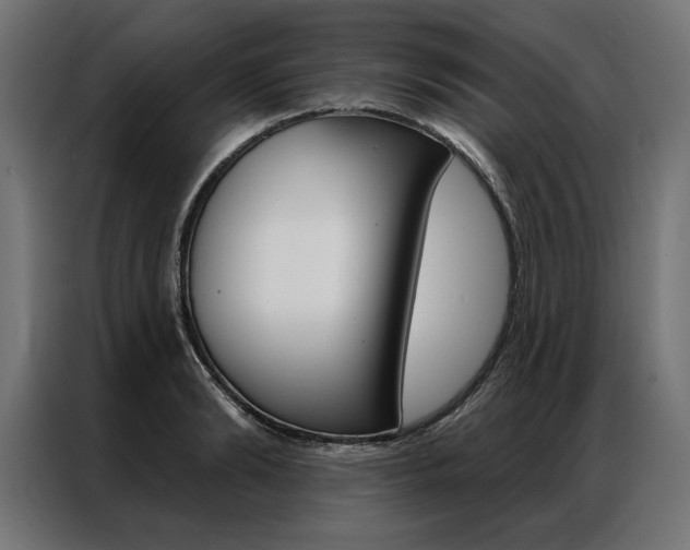 X0000086950894200704161054