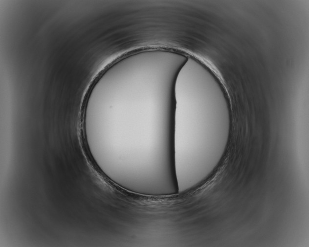 X0000086950895200704161054