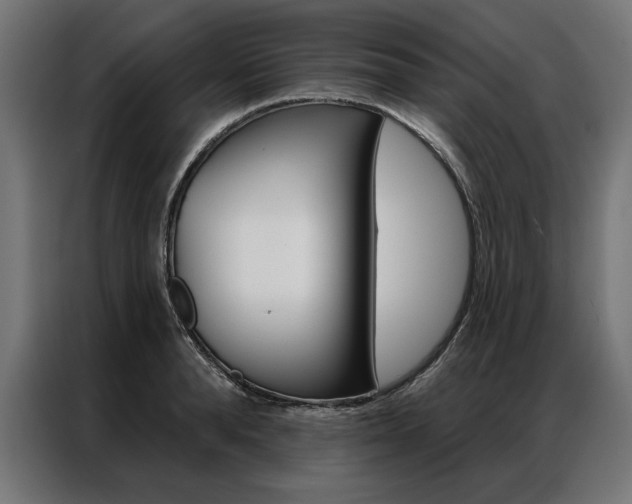 X0000086950896200704161054