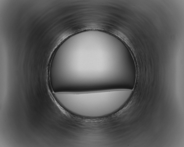 X0000086950898200704161054