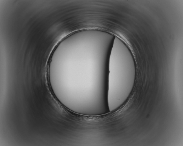 X0000086950899200704161054