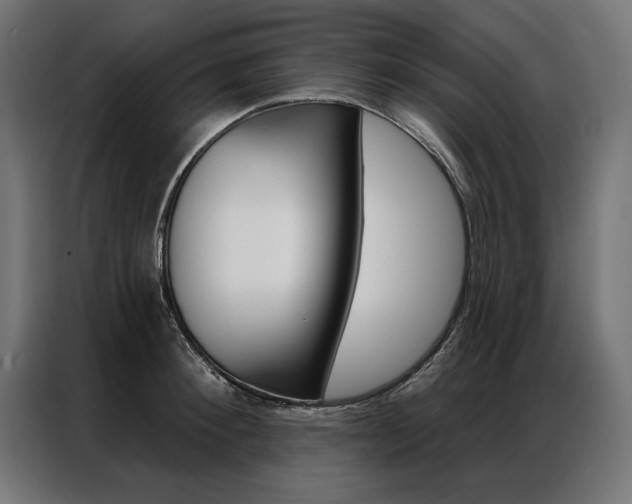 X0000086950900200704161054