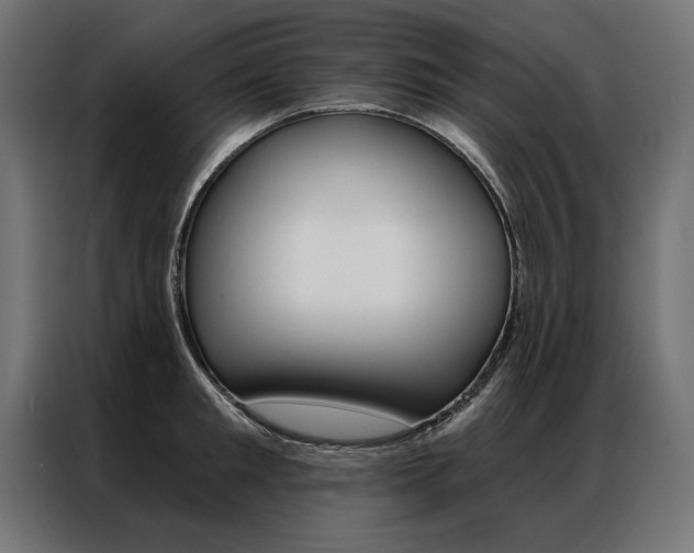 X0000086950901200704161054