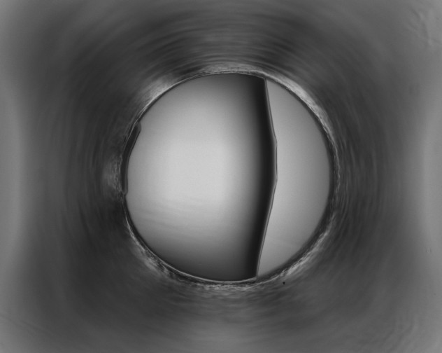 X0000086950905200704161054
