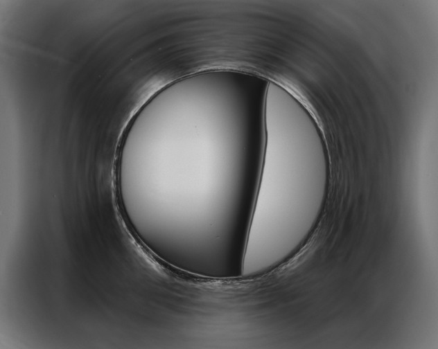 X0000086950906200704161054