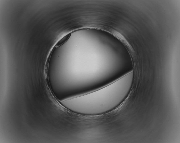 X0000086950908200704161054