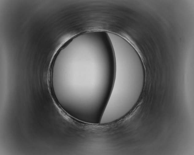X0000086950909200704161054