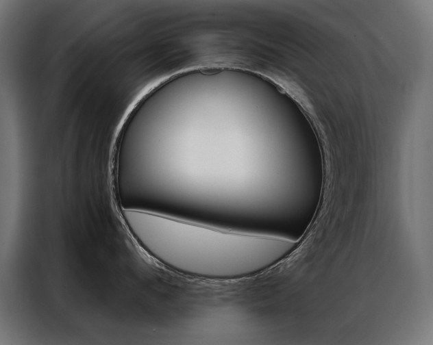 X0000086950912200704161054