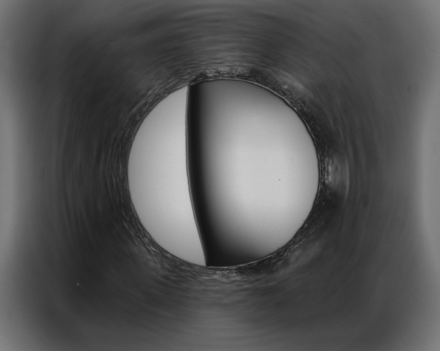 X0000086950915200704161054