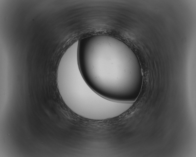 X0000086950916200704161054