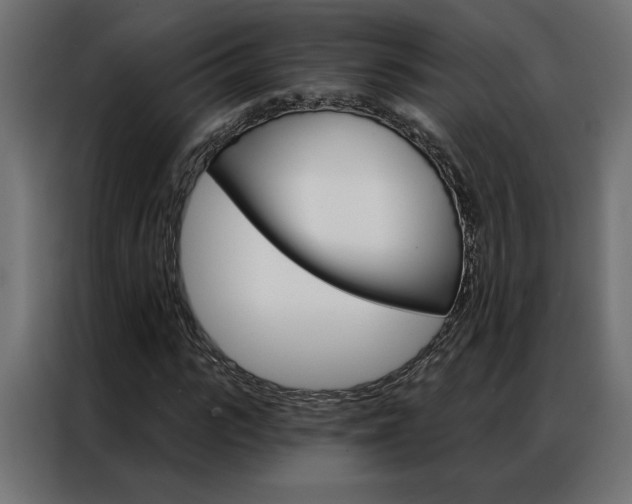 X0000086950919200704161054