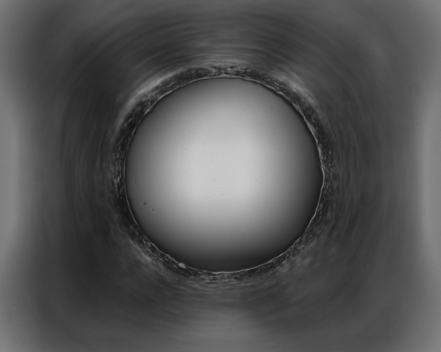 X0000086950920200704161054