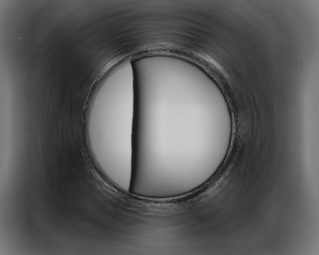 X0000086950921200704161054