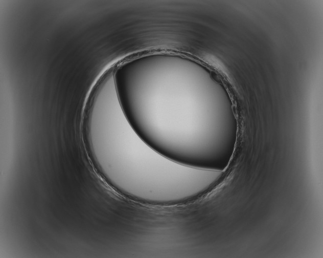 X0000086950924200704161054
