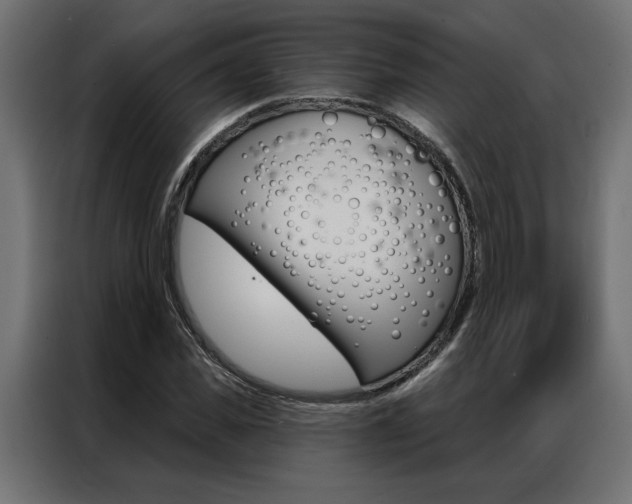X0000086950925200704161054