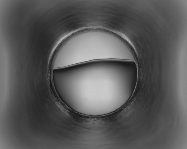 X0000086950927200704161054