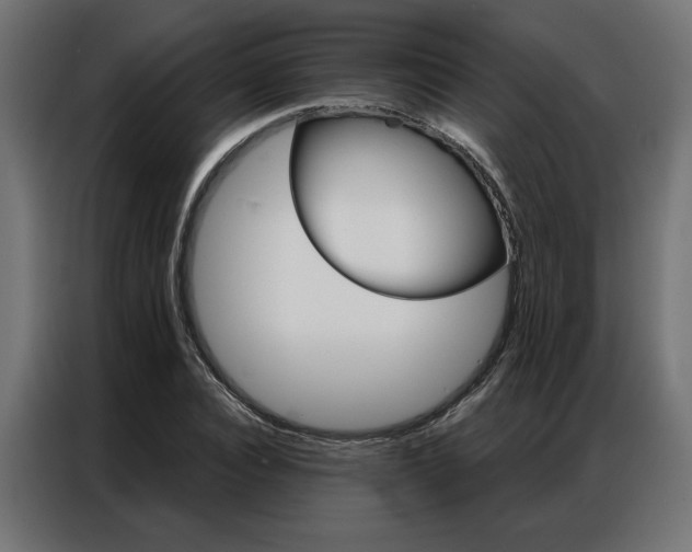 X0000086950928200704161054