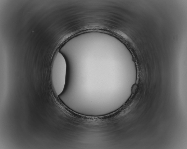 X0000086950929200704161054