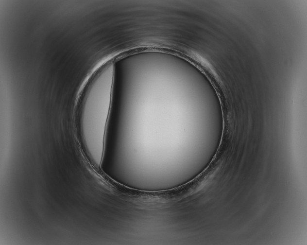 X0000086950931200704161054