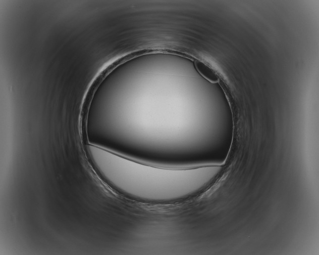 X0000086950932200704161054