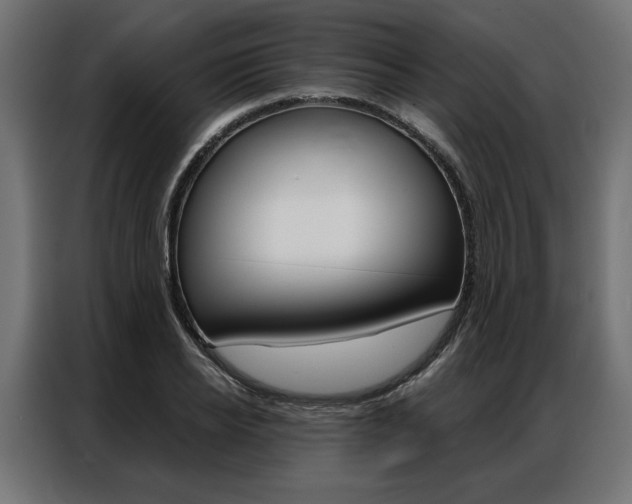 X0000086950934200704161054